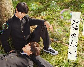 洪湖赤卫队完整版海报剧照